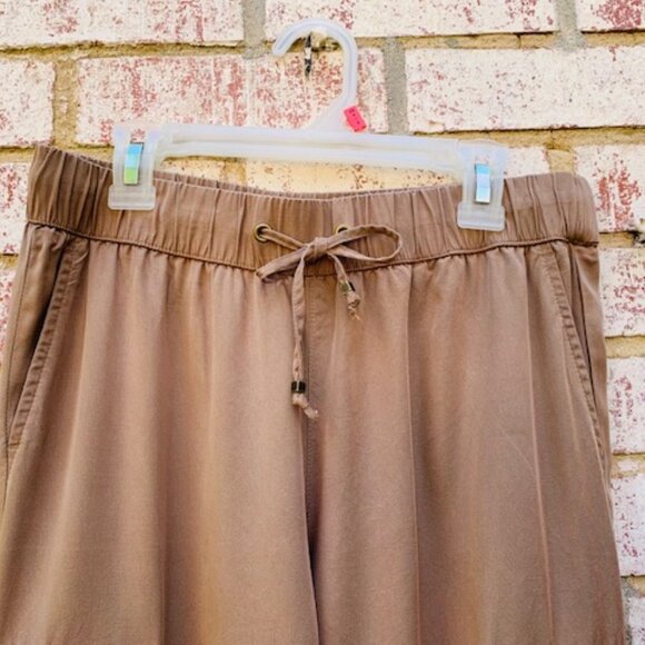 Banana Republic Brown Tencel Joggers size XS - Picture 2 of 8